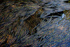 Ime datoteke: DSC_0046~1.JPG
Velikost datoteke: 286kB
Dimenzija: 430x289
Datum objave: 3. maj 2009 DSC_0046~1.JPG