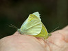Ime datoteke: met3~4.jpg
Velikost datoteke: 232kB
Dimenzija: 1020x760
Datum objave: 12. april 2020 met3~4.jpg