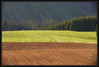 Ime datoteke: DSCN3063~0.JPG
Velikost datoteke: 98kB
Dimenzija: 897x610
Datum objave: 23. maj 2005 DSCN3063~0.JPG