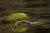 Ime datoteke: PICT4950-01-web~0.jpg
Velikost datoteke: 209kB
Dimenzija: 800x533
Datum objave: 21. november 2007 PICT4950-01-web~0.jpg