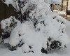 Pade sneg 001crop.jpg
