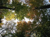 Ime datoteke: 5~3.jpg
Velikost datoteke: 186kB
Dimenzija: 450x337
Datum objave: 14. oktober 2005 5~3.jpg