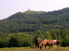 Ime datoteke: 7~0.jpg
Velikost datoteke: 122kB
Dimenzija: 640x480
Datum objave: 22. julij 2005 7~0.jpg