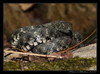 Ime datoteke: A~0.jpg
Velikost datoteke: 181kB
Dimenzija: 800x594
Datum objave: 12. marec 2008 A~0.jpg