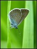 Ime datoteke: m_DSC_1154~0.JPG
Velikost datoteke: 275kB
Dimenzija: 607x800
Datum objave: 20. maj 2013 m_DSC_1154~0.JPG