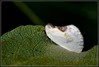 Ime datoteke: m_DSC_1772~0.JPG
Velikost datoteke: 264kB
Dimenzija: 1024x690
Datum objave: 19. avgust 2017 m_DSC_1772~0.JPG