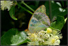 Ime datoteke: m_DSC_6494~0.JPG
Velikost datoteke: 290kB
Dimenzija: 1024x690
Datum objave: 17. junij 2015 m_DSC_6494~0.JPG