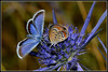 Ime datoteke: m_DSC_9401~0.JPG
Velikost datoteke: 287kB
Dimenzija: 1024x689
Datum objave: 29. julij 2016 m_DSC_9401~0.JPG