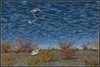 Ime datoteke: p_DSC_4412~0.JPG
Velikost datoteke: 277kB
Dimenzija: 1024x689
Datum objave: 10. avgust 2017 p_DSC_4412~0.JPG