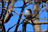 Ime datoteke: p_DSC_9231~0.JPG
Velikost datoteke: 300kB
Dimenzija: 1024x687
Datum objave: 25. januar 2016 p_DSC_9231~0.JPG