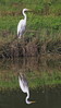 Ime datoteke: _MG_1000-11~0.jpg
Velikost datoteke: 257kB
Dimenzija: 507x900
Datum objave: 11. marec 2013 _MG_1000-11~0.jpg