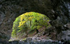 Ime datoteke: most~0.jpg
Velikost datoteke: 189kB
Dimenzija: 800x500
Datum objave: 26. oktober 2006 most~0.jpg