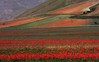 Ime datoteke: stiri~0.jpg
Velikost datoteke: 154kB
Dimenzija: 900x562
Datum objave: 12. julij 2012 stiri~0.jpg