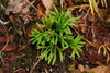 Ime datoteke: DSC_0019_1~0.JPG
Velikost datoteke: 212kB
Dimenzija: 893x600
Datum objave: 5. oktober 2012 DSC_0019_1~0.JPG