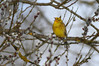 Ime datoteke: IMG_4494~0.jpg
Velikost datoteke: 232kB
Dimenzija: 900x600
Datum objave: 7. marec 2013 IMG_4494~0.jpg