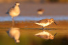 Ime datoteke: IMG_7570~0.jpg
Velikost datoteke: 211kB
Dimenzija: 900x600
Datum objave: 30. september 2016 IMG_7570~0.jpg