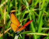 Ime datoteke: IMG_7590-32~0.jpg
Velikost datoteke: 185kB
Dimenzija: 894x724
Datum objave: 19. september 2015 IMG_7590-32~0.jpg