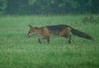 Ime datoteke: DSC08759~0.JPG
Velikost datoteke: 299kB
Dimenzija: 864x592
Datum objave: 5. junij 2017 DSC08759~0.JPG