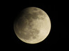 luninmrk25.4.13.jpg