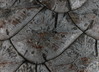 Ime datoteke: 1~6.JPG
Velikost datoteke: 225kB
Dimenzija: 900x652
Datum objave: 25. marec 2013 1~6.JPG