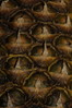 Ime datoteke: 3~3.JPG
Velikost datoteke: 224kB
Dimenzija: 600x900
Datum objave: 25. marec 2013 3~3.JPG