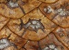Ime datoteke: 4~4.JPG
Velikost datoteke: 207kB
Dimenzija: 900x651
Datum objave: 25. marec 2013 4~4.JPG