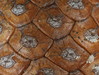 Ime datoteke: 5~4.JPG
Velikost datoteke: 239kB
Dimenzija: 900x680
Datum objave: 25. marec 2013 5~4.JPG