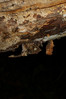 Ime datoteke: admiral~1.jpg
Velikost datoteke: 205kB
Dimenzija: 650x975
Datum objave: 6. december 2015 admiral~1.jpg