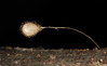 Ime datoteke: m2~0.JPG
Velikost datoteke: 151kB
Dimenzija: 850x524
Datum objave: 19. februar 2013 m2~0.JPG