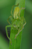 Ime datoteke: micro~0.jpg
Velikost datoteke: 216kB
Dimenzija: 500x765
Datum objave: 5. april 2011 micro~0.jpg