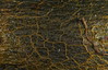 Ime datoteke: sp~0.JPG
Velikost datoteke: 275kB
Dimenzija: 850x551
Datum objave: 10. september 2013 sp~0.JPG