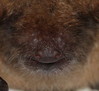 Ime datoteke: to~0.JPG
Velikost datoteke: 136kB
Dimenzija: 800x734
Datum objave: 5. julij 2014 to~0.JPG