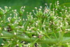 Ime datoteke: 026~0.JPG
Velikost datoteke: 229kB
Dimenzija: 800x536
Datum objave: 16. junij 2010 026~0.JPG