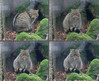 Ime datoteke: ma1~0.jpg
Velikost datoteke: 258kB
Dimenzija: 800x654
Datum objave: 16. december 2013 ma1~0.jpg
