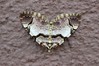 Ime datoteke: Anticlea derivata~0.jpg
Velikost datoteke: 104kB
Dimenzija: 800x533
Datum objave: 6. april 2019 Anticlea derivata~0.jpg