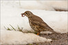 Ime datoteke: IMG_0025-2~0.jpg
Velikost datoteke: 204kB
Dimenzija: 900x601
Datum objave: 28. april 2016 IMG_0025-2~0.jpg