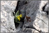 Ime datoteke: IMG_0575-1~0.jpg
Velikost datoteke: 270kB
Dimenzija: 900x606
Datum objave: 23. april 2012 IMG_0575-1~0.jpg