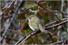 Ime datoteke: IMG_1365-2~0.jpg
Velikost datoteke: 286kB
Dimenzija: 900x603
Datum objave: 19. marec 2013 IMG_1365-2~0.jpg