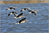 Ime datoteke: IMG_5521-2~0.jpg
Velikost datoteke: 278kB
Dimenzija: 900x603
Datum objave: 30. januar 2013 IMG_5521-2~0.jpg