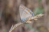 Ime datoteke: IMG_5666-2~0.jpg
Velikost datoteke: 253kB
Dimenzija: 900x600
Datum objave: 6. avgust 2016 IMG_5666-2~0.jpg