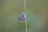 Ime datoteke: IMG_8255-2~0.jpg
Velikost datoteke: 74kB
Dimenzija: 900x602
Datum objave: 15. avgust 2017 IMG_8255-2~0.jpg