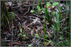Ime datoteke: IMG_9899-1~0.jpg
Velikost datoteke: 245kB
Dimenzija: 900x606
Datum objave: 18. april 2011 IMG_9899-1~0.jpg