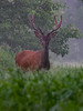 Ime datoteke: IMG_3643~0.jpg
Velikost datoteke: 63kB
Dimenzija: 600x800
Datum objave: 19. avgust 2017 IMG_3643~0.jpg