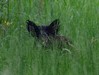 Ime datoteke: IMG_3669~0.jpg
Velikost datoteke: 78kB
Dimenzija: 800x605
Datum objave: 14. junij 2019 IMG_3669~0.jpg