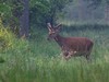 Ime datoteke: IMG_3741~0.jpg
Velikost datoteke: 78kB
Dimenzija: 800x600
Datum objave: 15. avgust 2019 IMG_3741~0.jpg