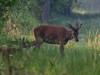 Ime datoteke: IMG_3798~0.jpg
Velikost datoteke: 79kB
Dimenzija: 800x600
Datum objave: 15. avgust 2019 IMG_3798~0.jpg