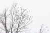 Ime datoteke: 088~0.jpg
Velikost datoteke: 148kB
Dimenzija: 900x600
Datum objave: 30. marec 2013 088~0.jpg