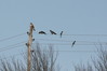 Ime datoteke: 1~1.jpg
Velikost datoteke: 122kB
Dimenzija: 900x600
Datum objave: 31. januar 2012 1~1.jpg