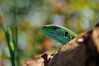 Ime datoteke: DSC_0251~0.jpg
Velikost datoteke: 210kB
Dimenzija: 900x600
Datum objave: 9. april 2017 DSC_0251~0.jpg
