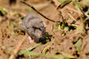Ime datoteke: DSC_0278~0.jpg
Velikost datoteke: 251kB
Dimenzija: 900x600
Datum objave: 7. maj 2014 DSC_0278~0.jpg